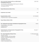 Preview: WUNSCHPUPPE für Bestellung 202101663