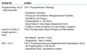 Wunschpuppe für Bestellung 201710358